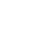 Logo da Irmãos Queiroz Branca